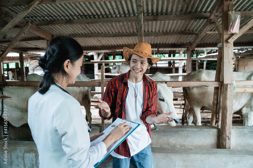 一名女兽医和一名男农民在奶牛场围栏里与文案空间聊天