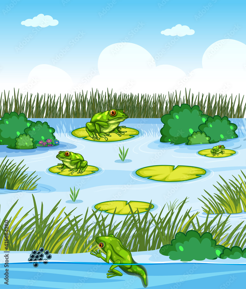 有许多青蛙和植物元素的池塘场景