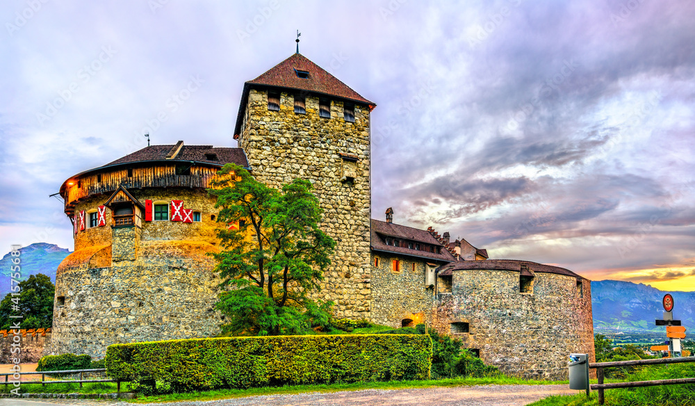 Vaduz Castle in the Principality of Liechtenstein