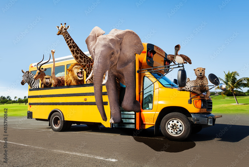 校车概念中的动物园，动物从窗户向外看，大象、长颈鹿、猎豹和
