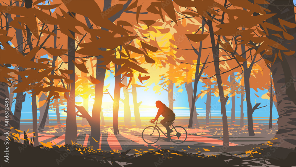 阳光明媚的早晨，一名男子在秋季森林公园骑自行车，矢量插图