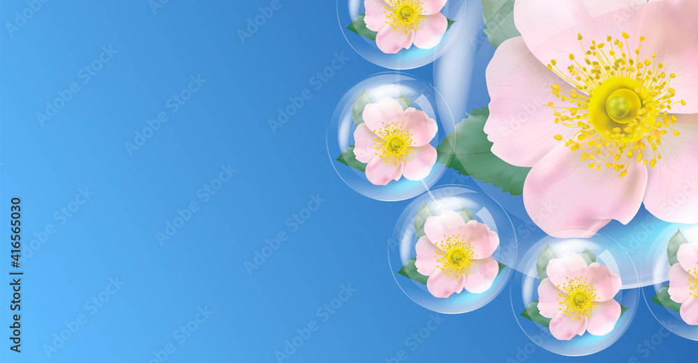 粉色莲花配水滴