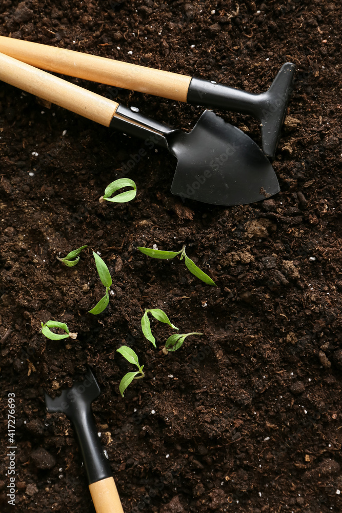 在土壤上种植植物的园艺工具
