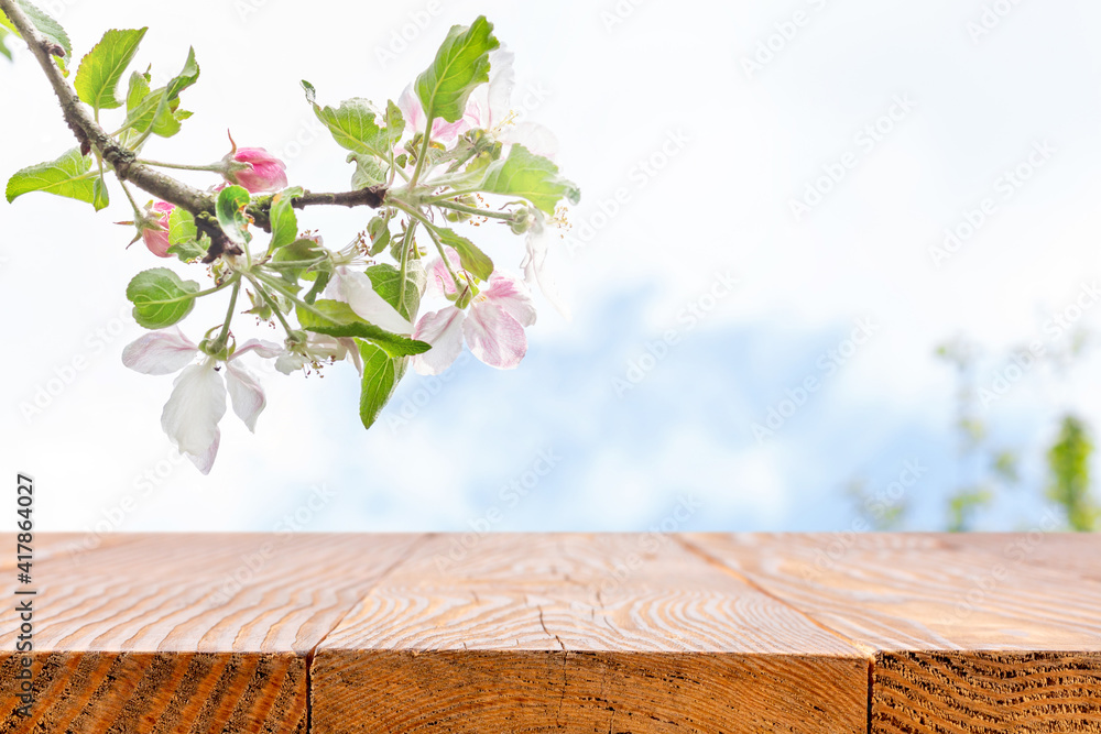 木桌和苹果花的春天背景。木板前的春天花园和天空