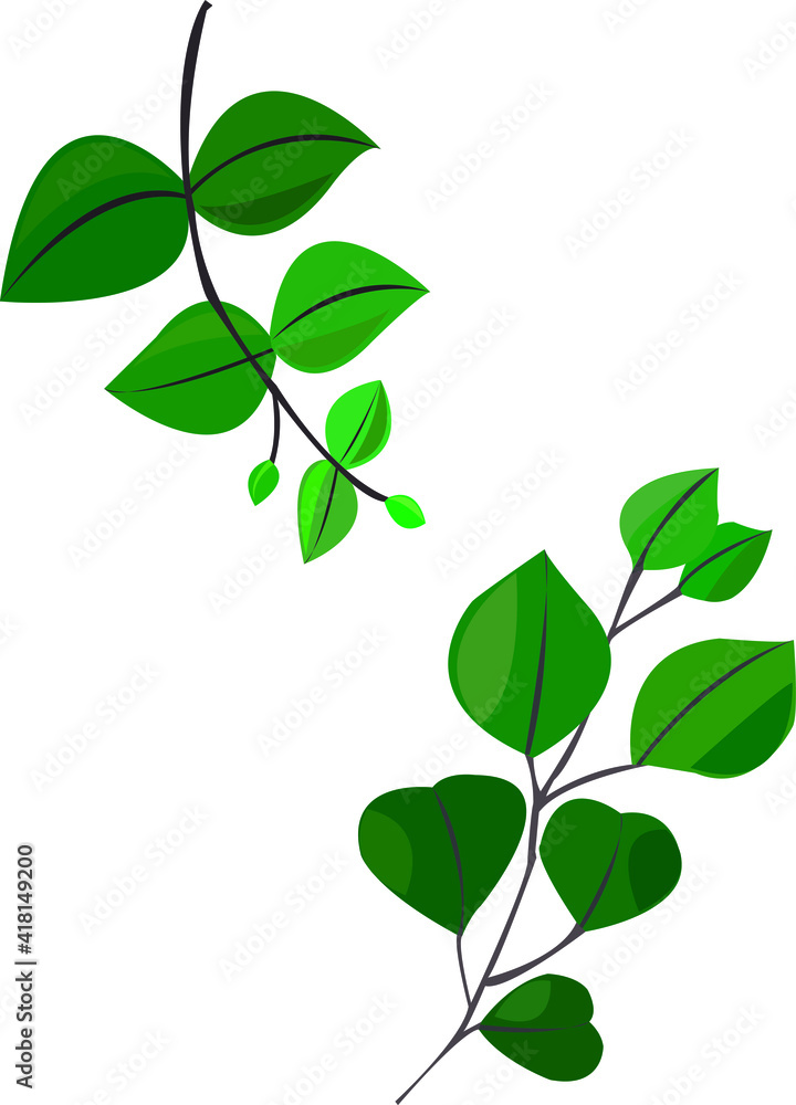 矢量手绘自然绿色图形植物，树枝上有两片绿色桉树叶