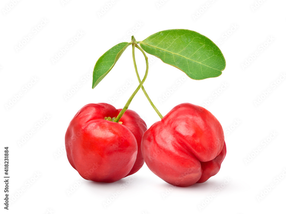 两个多汁的红色Acerola樱桃果实，绿色叶子隔离在白色背景上。修剪路径。