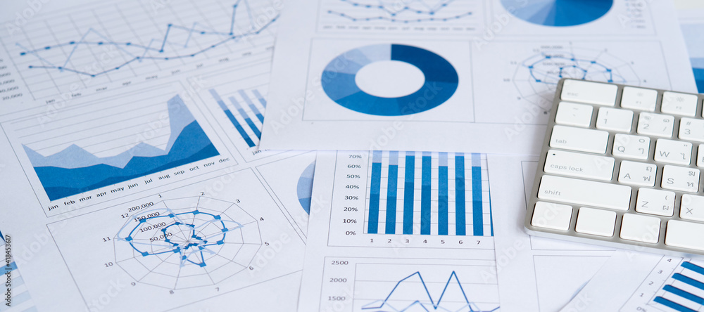 业务图表和财务图表报告。会计和审计概念。