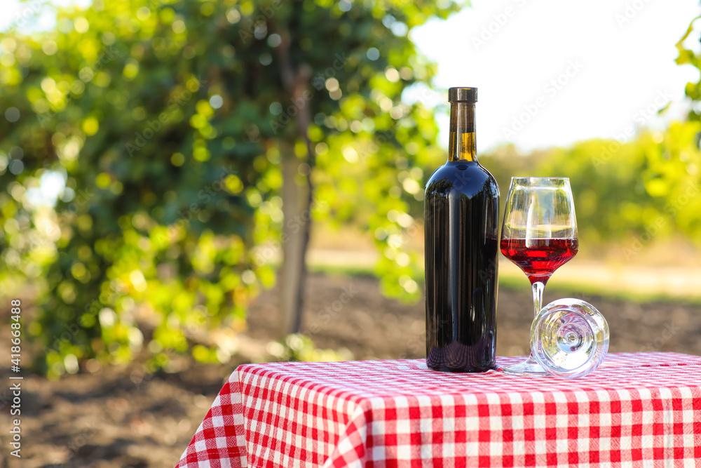 葡萄园餐桌上摆着一瓶又一杯成熟葡萄的葡萄酒