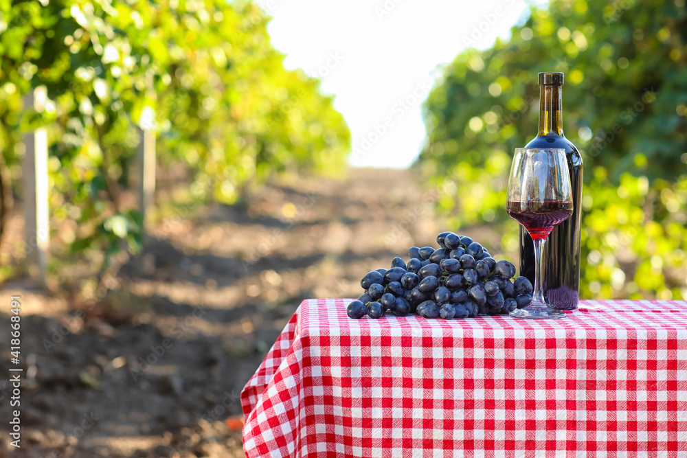 葡萄园里桌上放着一瓶一杯成熟葡萄的葡萄酒