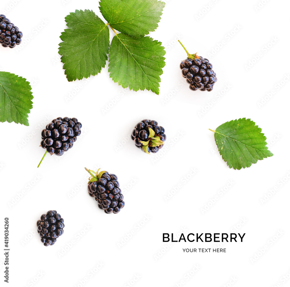 由黑莓制成的创意布局，白色背景上有叶子。平面布局。食物概念。