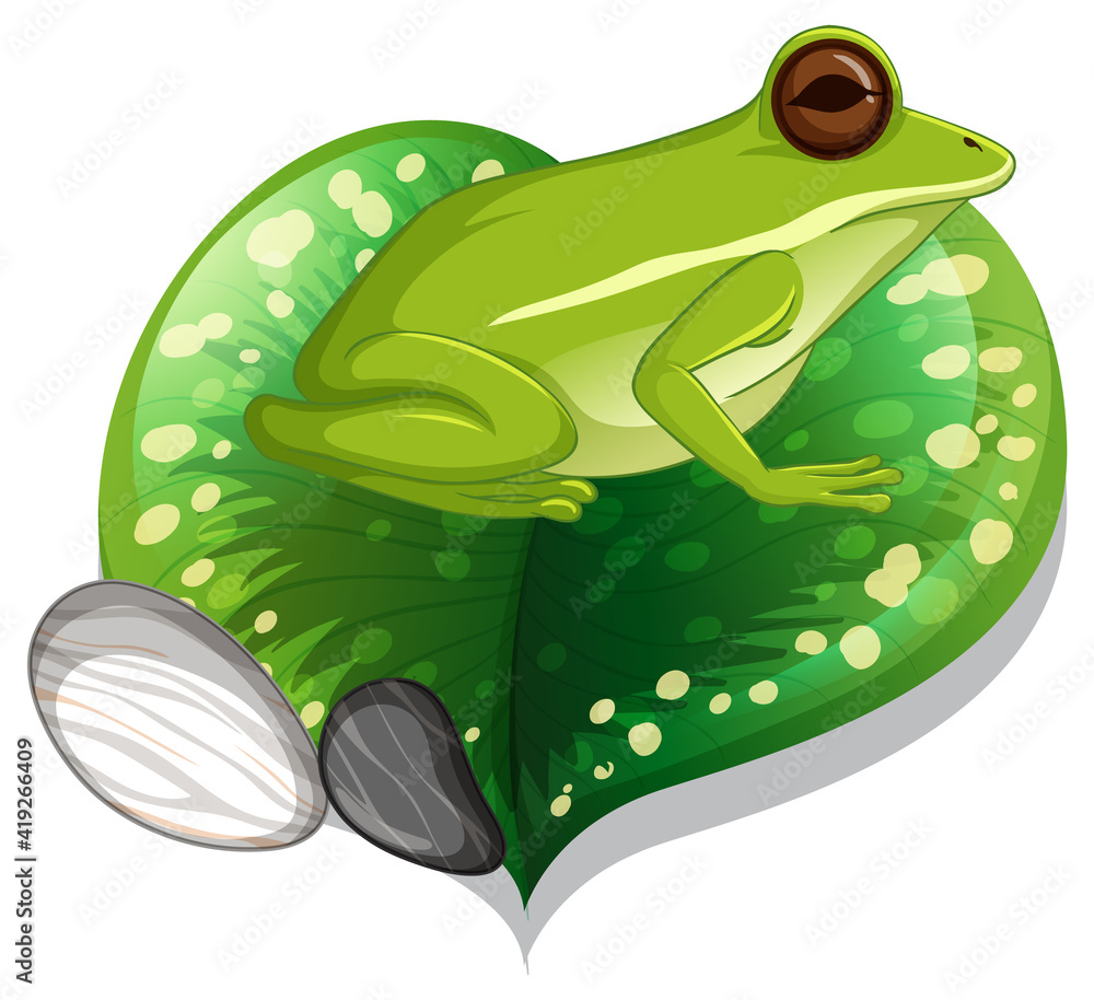 一只绿色的青蛙被隔离在一片树叶上