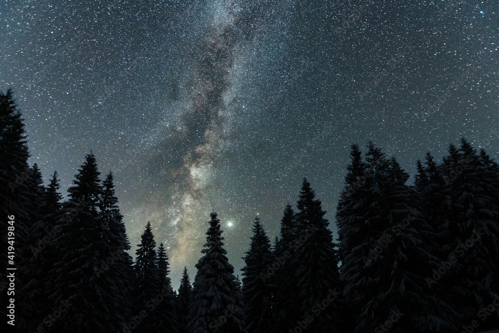 星光照耀下的奇妙冬季景观。白雪皑皑的树木和乳白色的w构成的戏剧性冬季场景