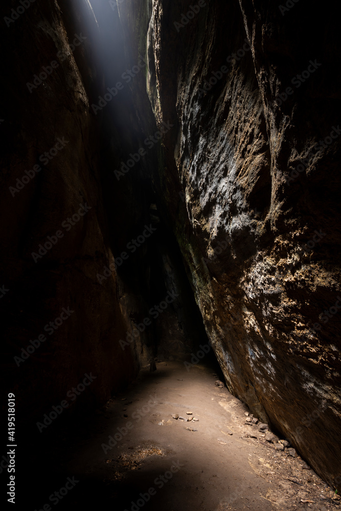 从雨林洞穴内部看，光线从裂缝进入