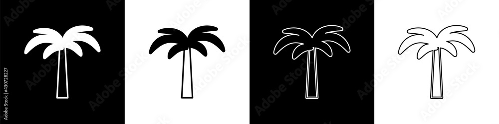 将热带棕榈树图标隔离在黑白背景上。椰子树。矢量