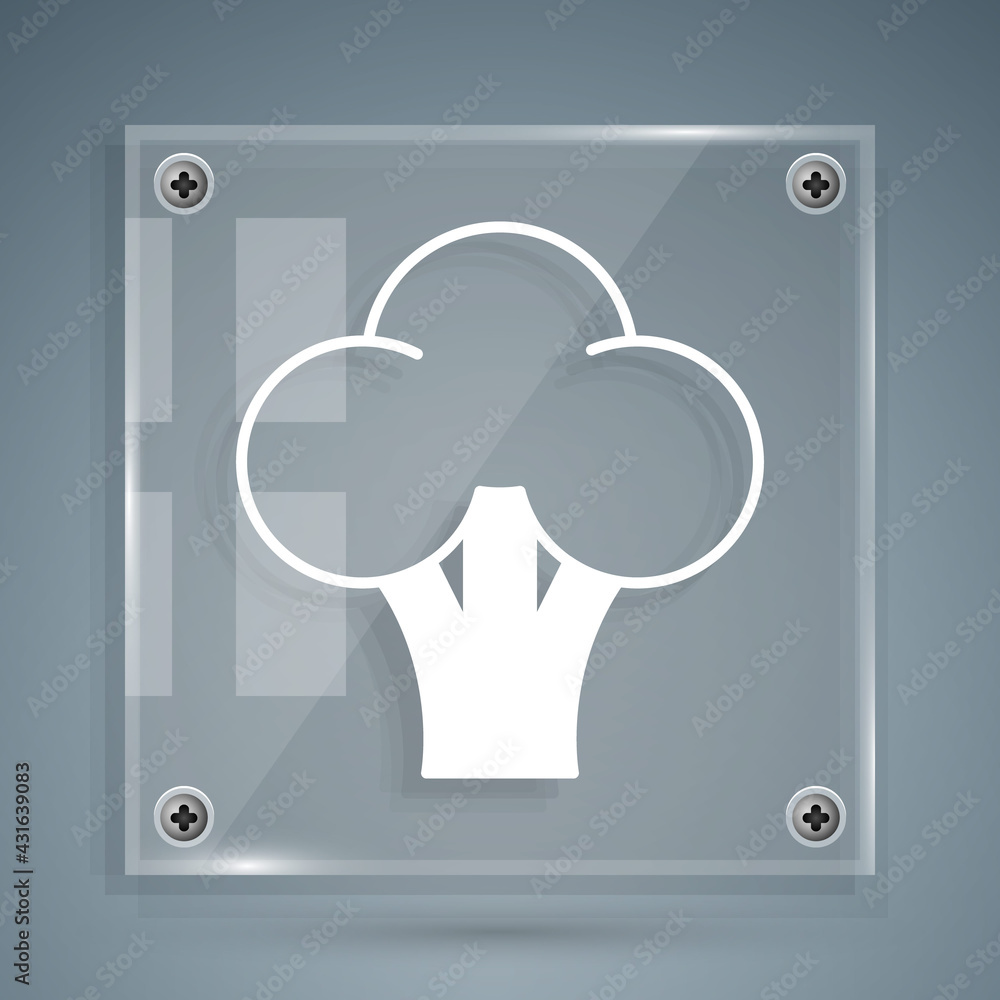 White Broccoli icon isolated White background. Square glass panels. Vector