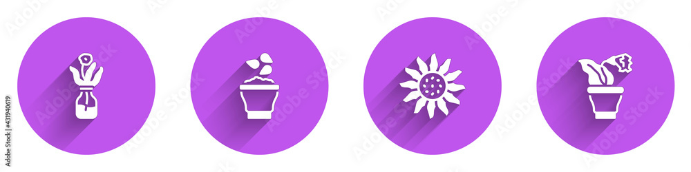 Set Flower in glass bottle, Seeds bowl, and pot icon with long shadow. Vector