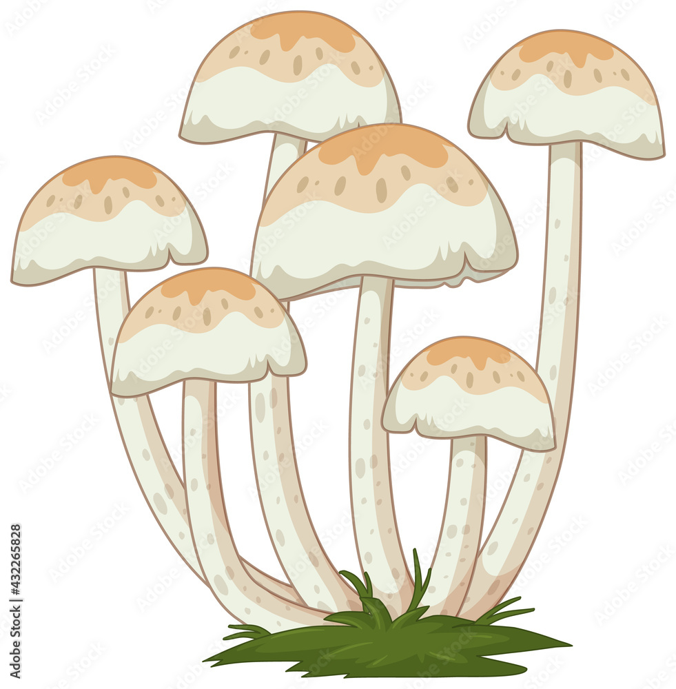 白底卡通风格的许多蘑菇