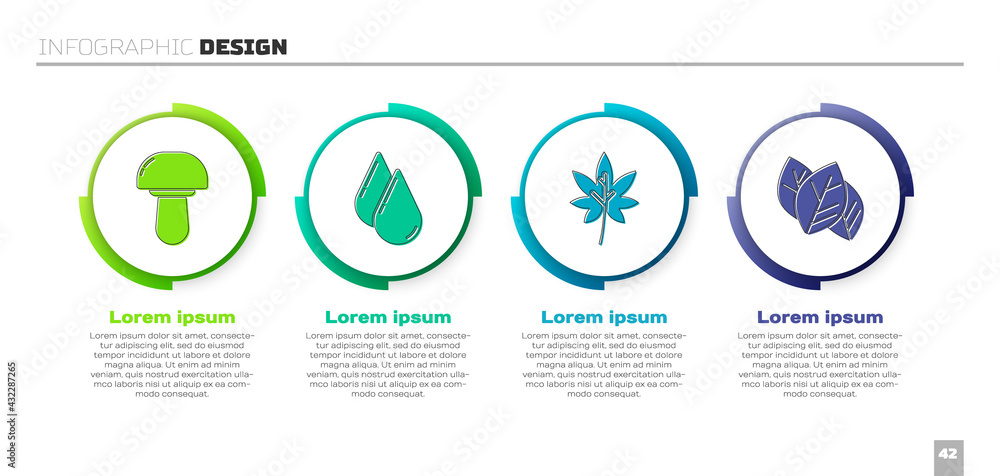 Set Mushroom, Water drop, Leaf or leaves and Leaf or leaves. Business infographic template. Vector