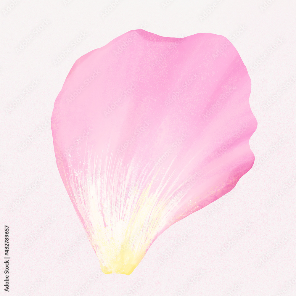 粉色花瓣插图