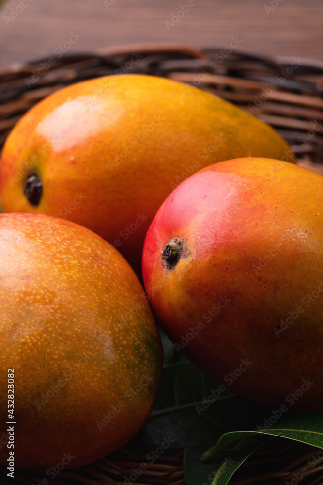 芒果。在深色木桌背景上，竹筛上的新鲜芒果果实。