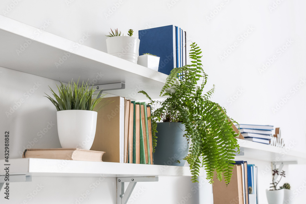 轻质墙上挂着书和植物的架子