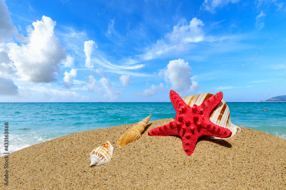 Starfish and conch on a beach sand,summer holiday background.
