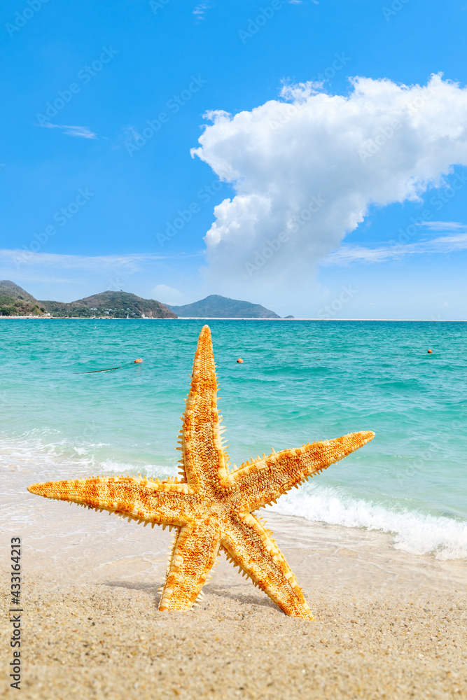 沙滩上有海星的热带海滩，暑假背景。旅行和海滩度假。