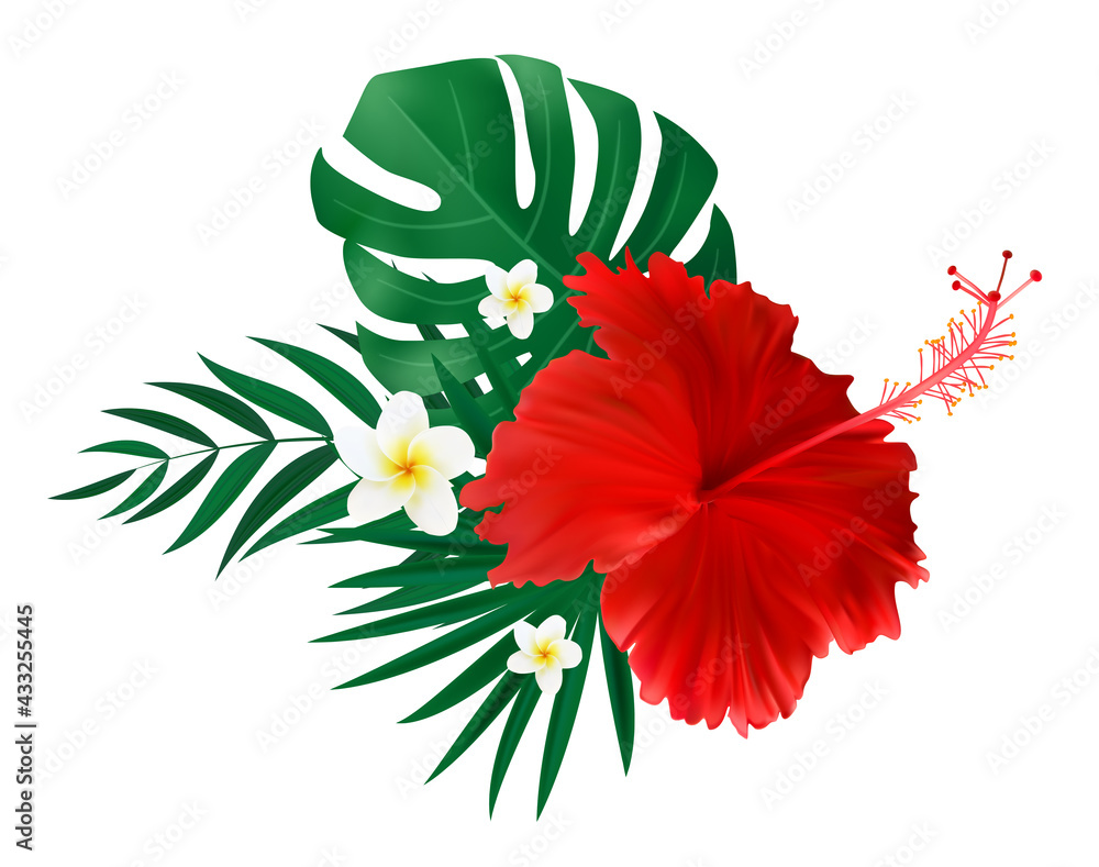 红色芙蓉花，棕榈叶孤立在白色背景上。矢量插图