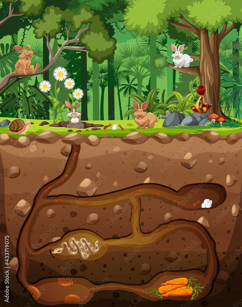 Underground animal burrow with animals in the forest