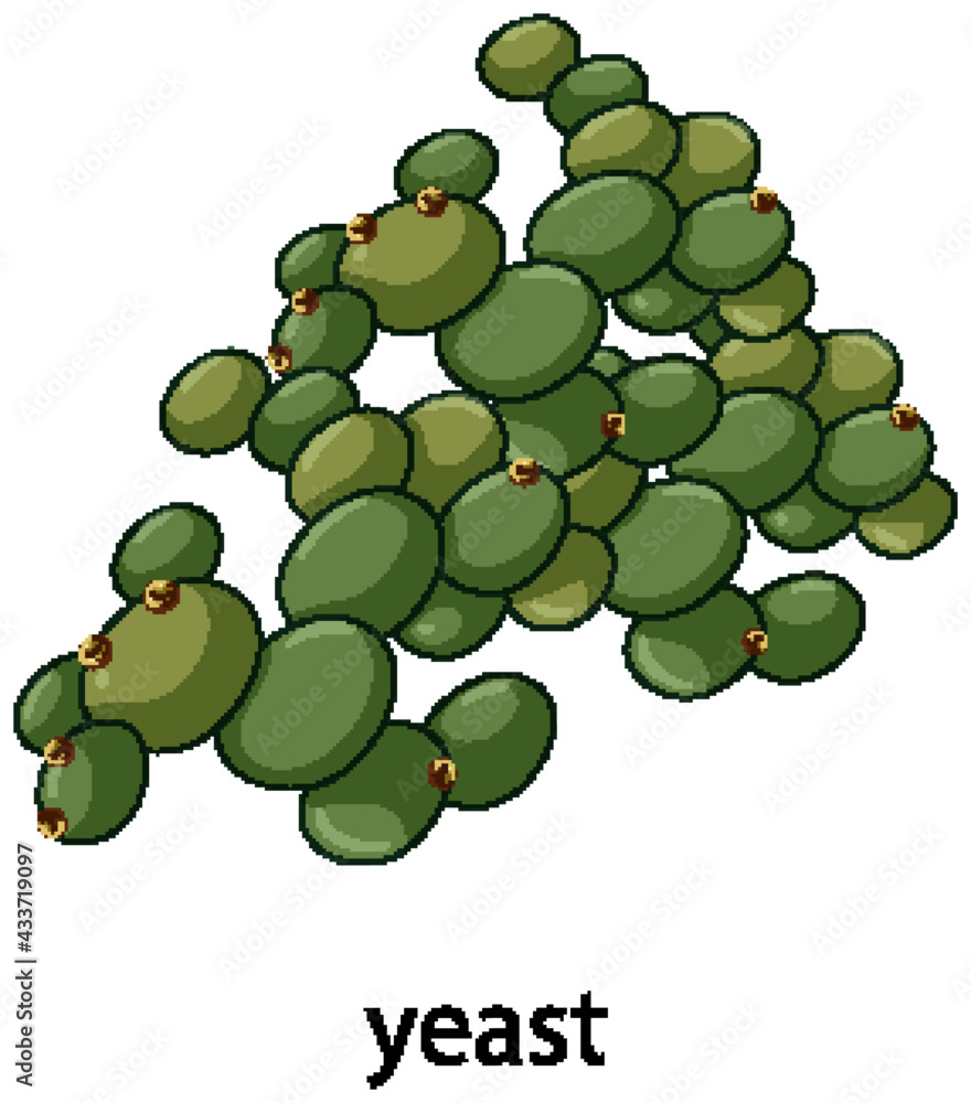 Yeast cartoon style with name