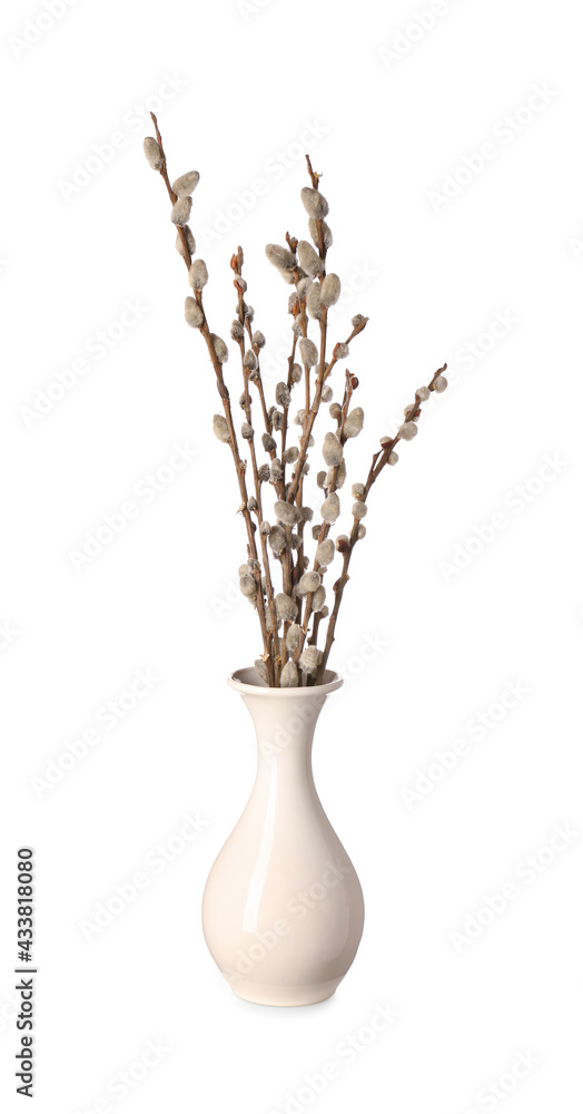 Vase with willow branches on white background