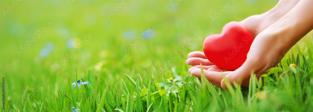 绿色草地背景上，女人的手拿着红色的心形。