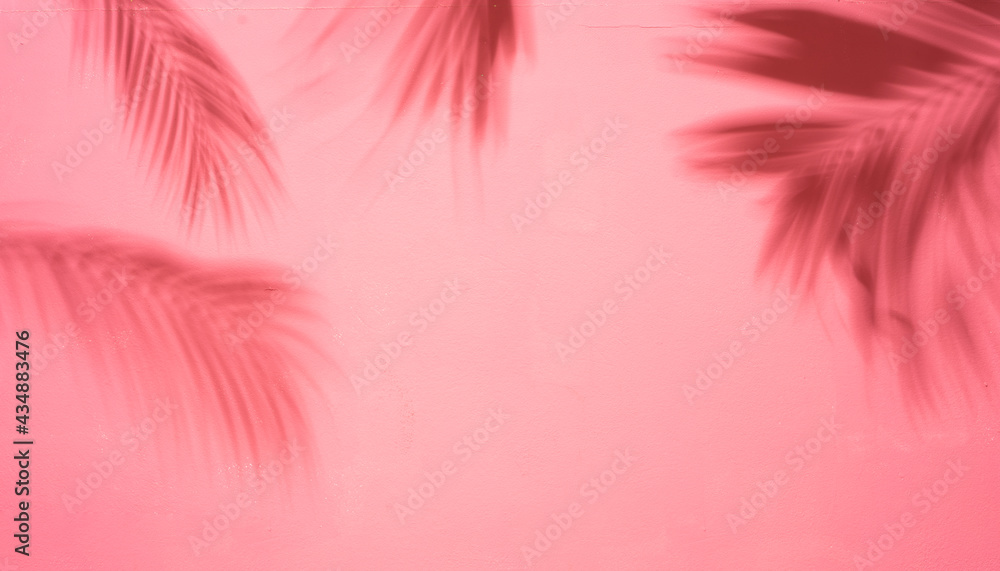 粉红色的墙，墙上有棕榈叶的影子，夏天的背景