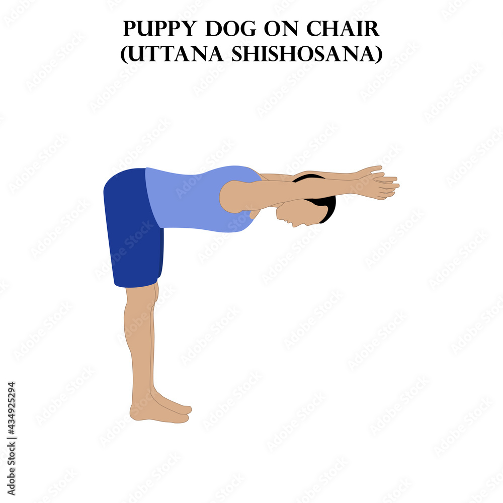 小狗坐在椅子上做瑜伽姿势。Uttana Shishosana。男子做瑜伽插图