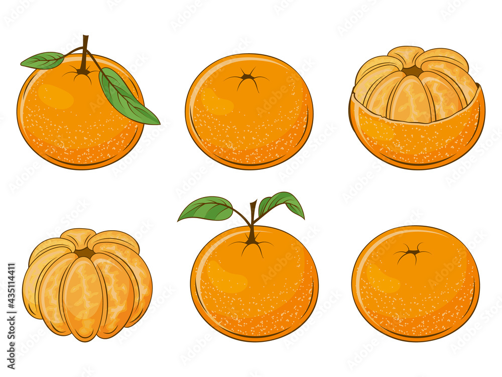 set of juicy mandarins. Fresh fruit. Vector illustration. Isolated on white. Cartoon style.