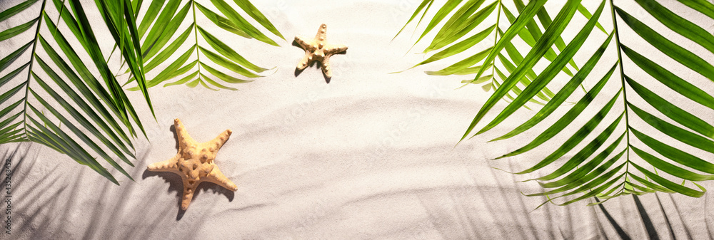 Top view of starfish near green palm leaf on sand beach