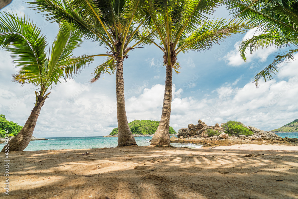 椰子树背靠热带海滩，俯瞰。热带天堂田园诗般的背景。Coc