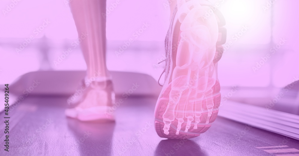 在跑步机上锻炼的女性腿部组成，可见x射线骨骼和粉红色