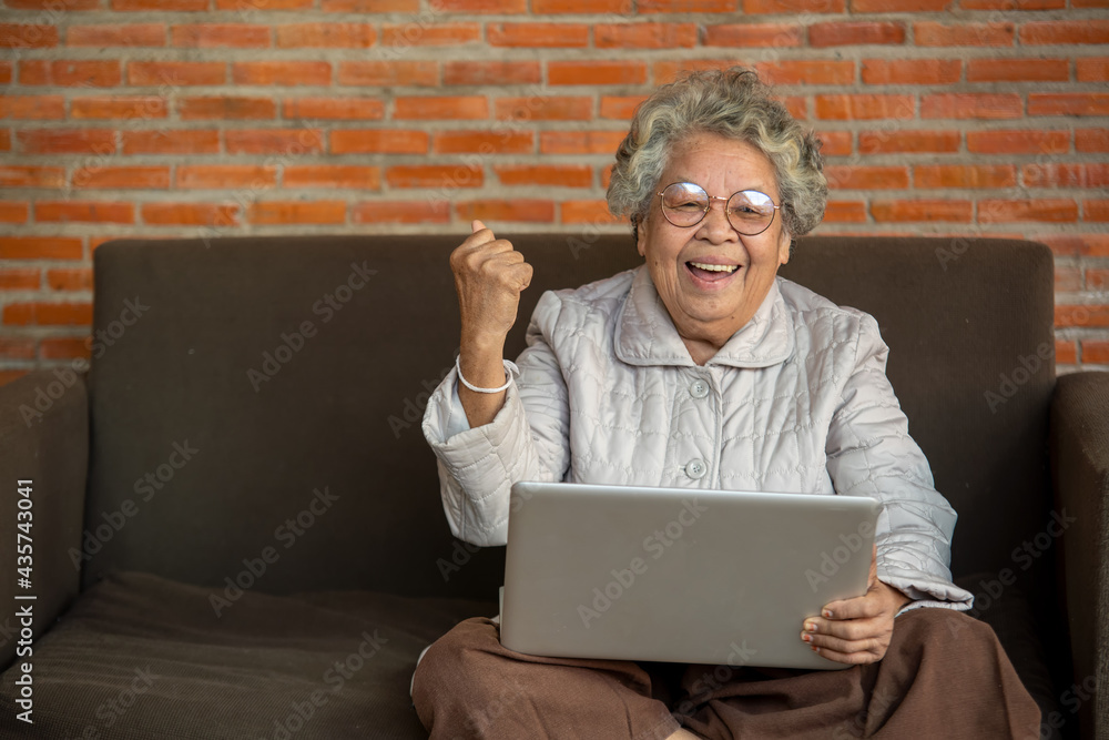 老年女性在线观看zoom视频会议的肖像，快乐的中年老年女性坐在上面
