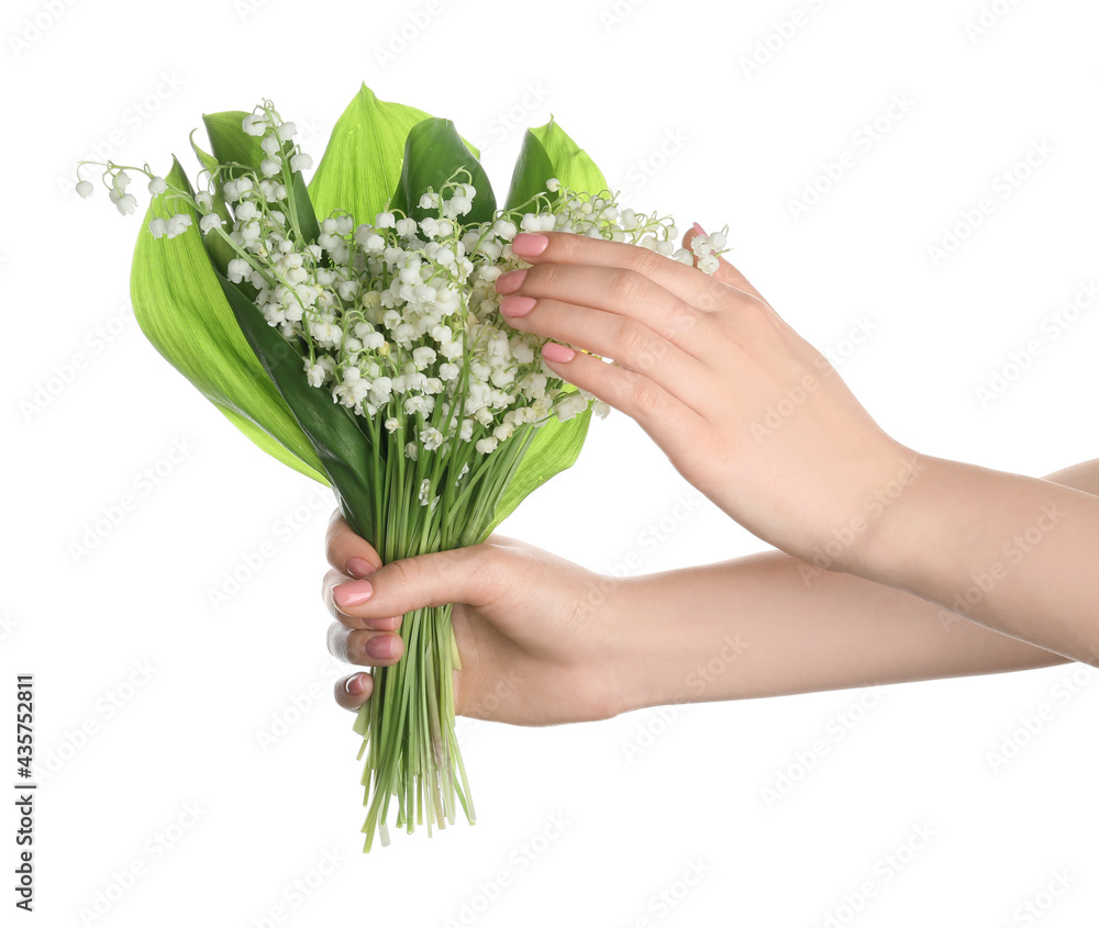 白色背景下美丽的铃兰花的女性双手