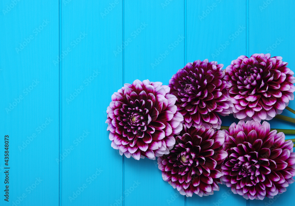 蓝色木板上的花朵。