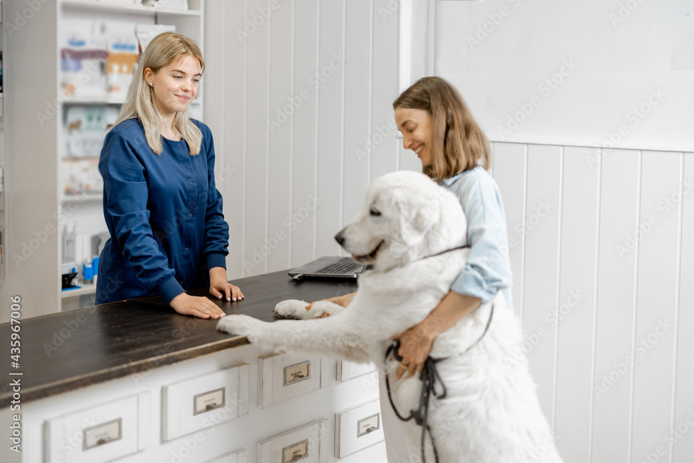 女主人带着一只大白狗在兽医诊所的接待处与助理交谈。狗cl