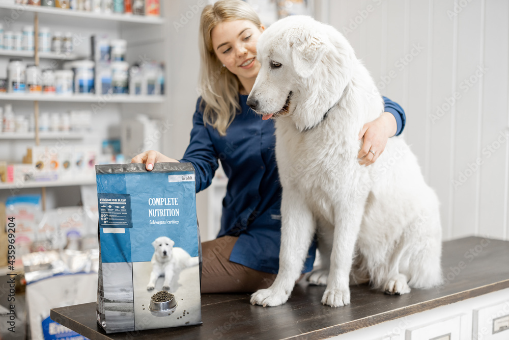 Cheerful female veterinarian and big sheepdog sitting on reception of veterinary store and clinic wi