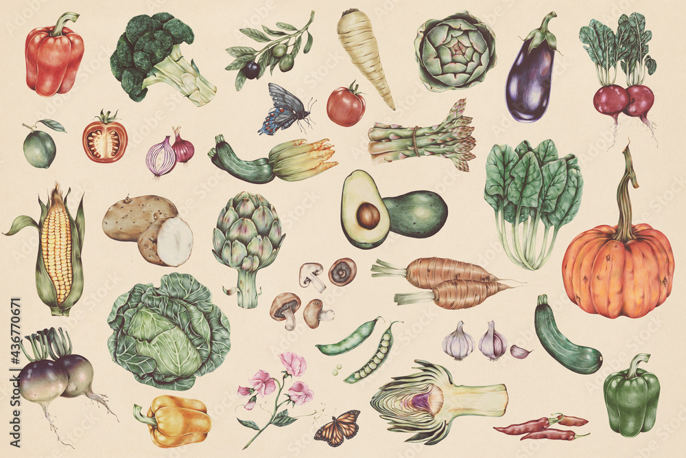 手绘蔬菜图案插图
