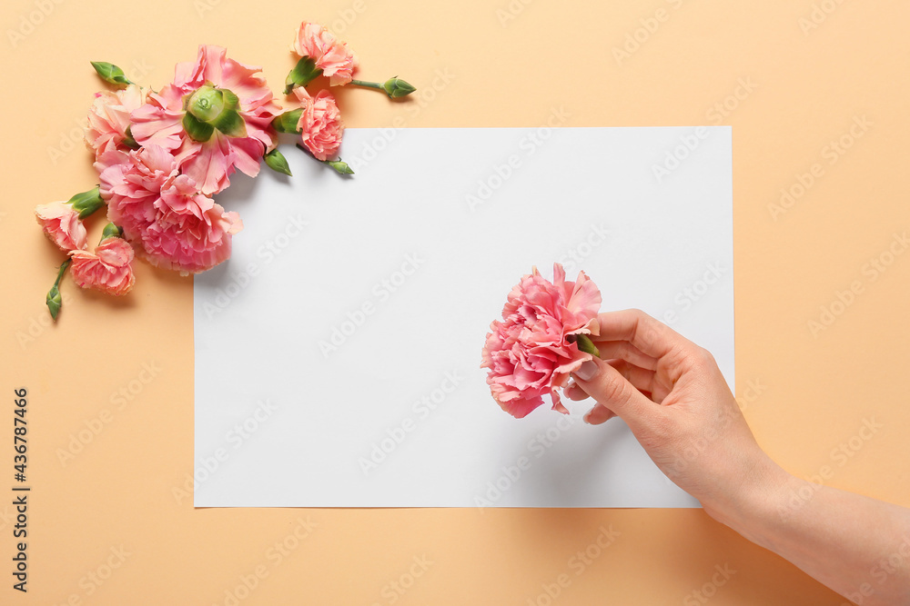 女性手上有美丽的康乃馨花和彩色背景上的空白卡片