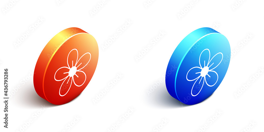 白色背景上隔离的等距花朵图标。橙色和蓝色圆形按钮。矢量