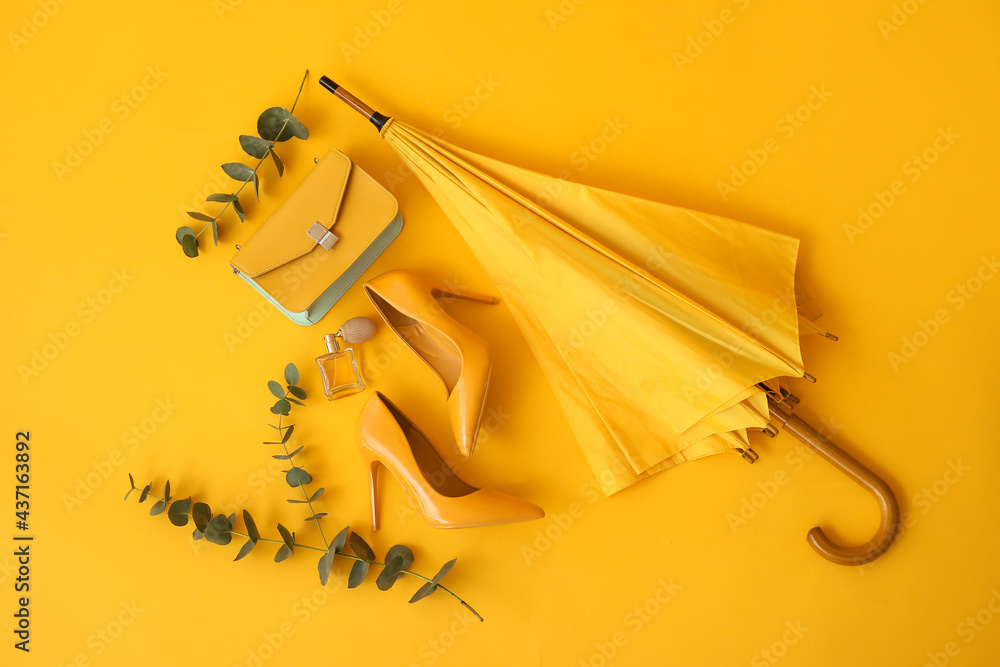 时尚的雨伞、包包、鞋子和彩色背景的桉树树枝