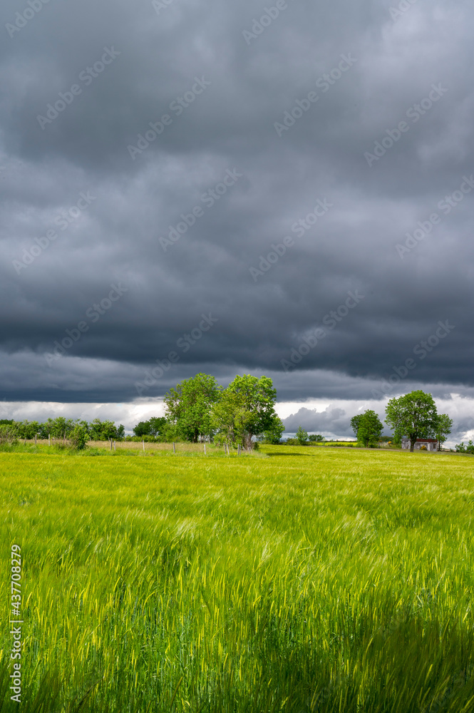 Paysage dAuvergne en Haute-Loire en France au printemps avec un ciel menaçant