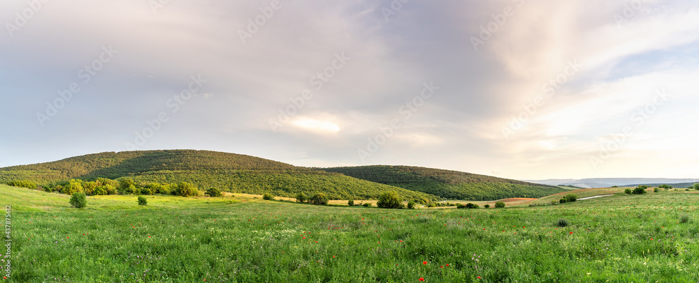 落日余晖中美丽的绿色山丘和山谷。美丽的夏季景观全景。自然b
