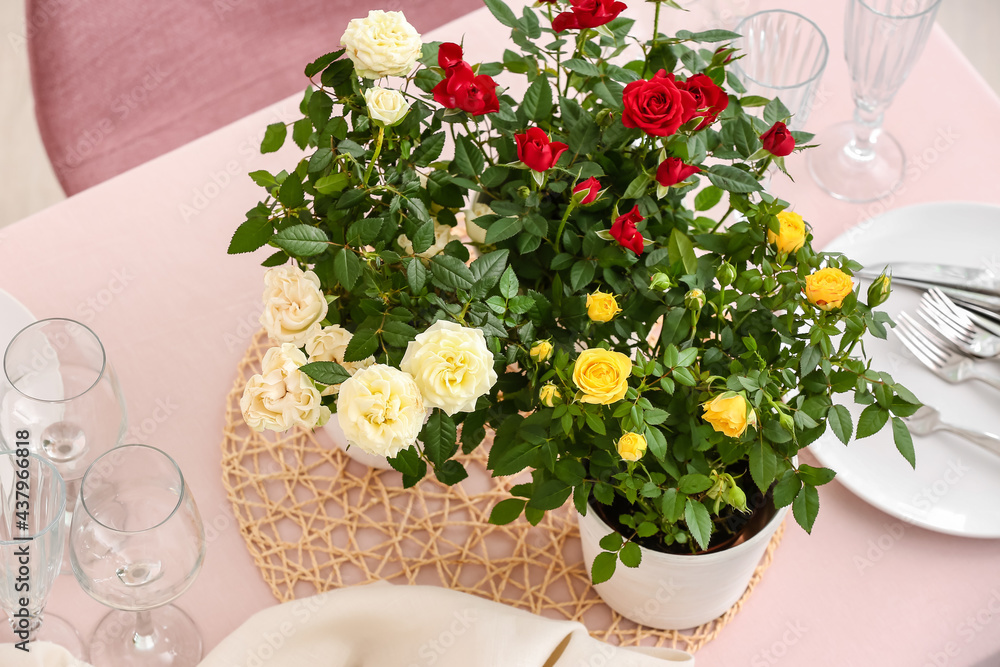 餐桌上花盆里的美丽玫瑰